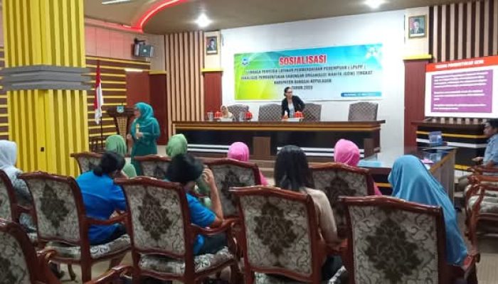 Dorong Pemberdayaan Perempuan, Ketua TP PKK Bangkep Paparkan Pentingnya Pembentukan GOW