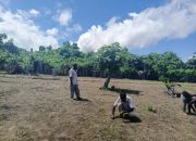 Ketua DPW Tani Merdeka Papua Tengah Tinjau Langsung Lahan Sawah di SP 2 Lagari