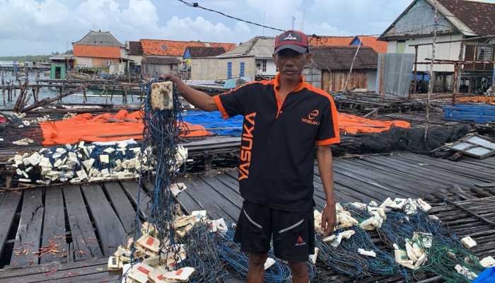 Bantuan Tepat Sasaran Sangat Diharapkan Pembudidaya Rumput Laut, Dinas Perikanan Diminta Lebih Aktif!