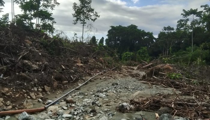HATAM Soroti Penebangan Liar di Hutan Lindung Puncak Nuhon, Sumber Agung