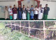 Disembelih Besok, Masjid Al Fattah Terima 6 Ekor Sapi Kurban 
