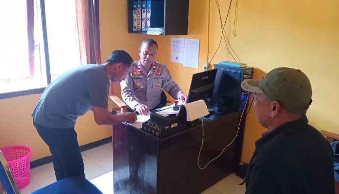 Tiba-tiba Muncul, Pemotor Tabrak Sapi di Nuhon, Pemilik Ternak Siap Tanggungjawab 