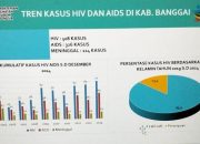 Kasus Meninggal Karena HIV AIDS di Banggai Terus Meningkat, 2024 Capai 13 Orang