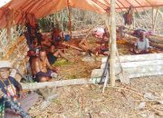 Tani Merdeka Kabupaten Paniai Bersihkan Lahan untuk Penanaman Jagung