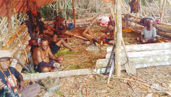 Tani Merdeka Kabupaten Paniai Bersihkan Lahan untuk Penanaman Jagung
