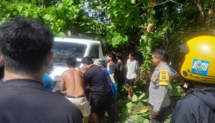 Laka Tunggal di Balantak, Mobil Pick Up Hilang Kendali Terperosok ke Kebun Warga