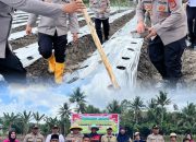 Polres Bangkep Gandeng Pesantren Hidayatullah Tanam Jagung Dukung Ketahanan Pangan Nasional