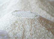 Kenaikan Harga Beras Bikin Rakyat Menjerit