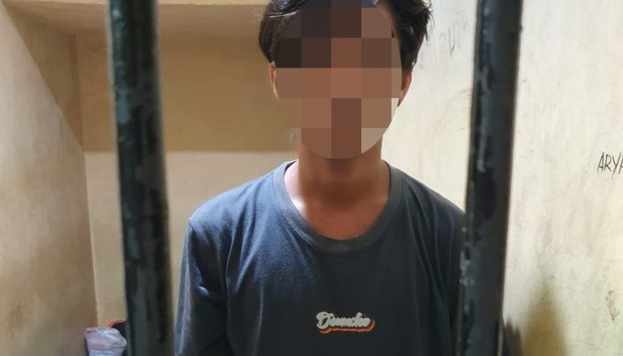 Curi 1 Box Ikan, Pria Asal Luwuk Utara Diringkus Polisi, 2 Masih Buron