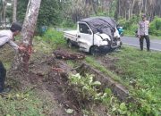 Mobil Pickup Laka Tunggal Tabrak Pohon Kelapa di  Nuhon, Begini Kondisi Korban 