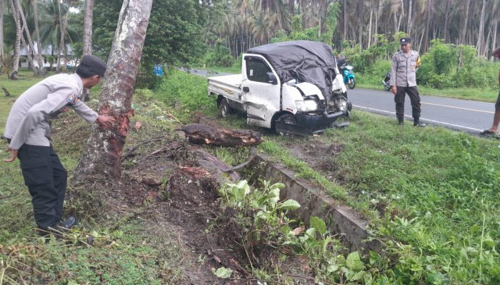 Mobil Pickup Laka Tunggal Tabrak Pohon Kelapa di  Nuhon, Begini Kondisi Korban 