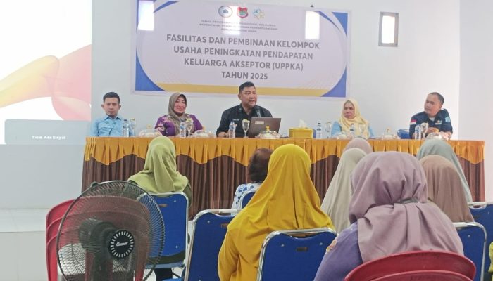 Jadi Narasumber Pembinaan UPPKA, Kadis Faisal Tekankan Sinergi KB dan Ekonomi