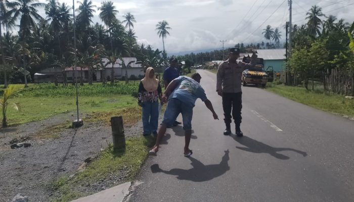 Naas, Seorang Siswi di Nuhon Alami Luka Serius Usai Kecelakaan Tabrak Sapi 