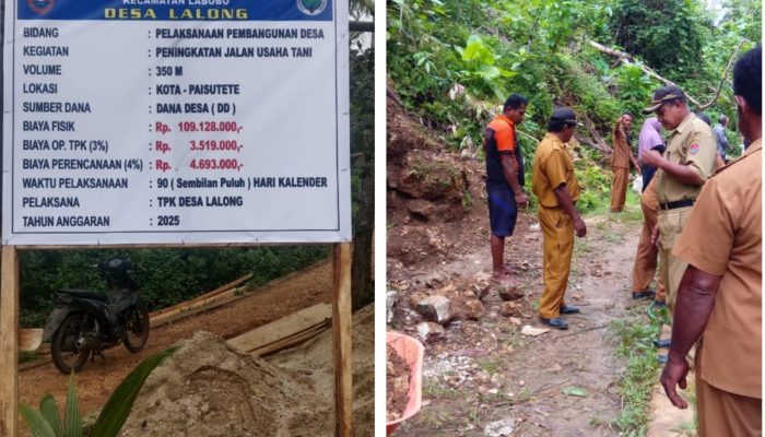 Kades Lalong Akmal Patagiling Tinjau Pembangunan Jalan Kantong Produksi