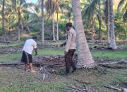 Innalillahi, Pria 34 Tahun Asal Luwuk Ditemukan Tewas di Kebun Kelapa Balantak Banggai
