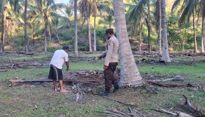 Innalillahi, Pria 34 Tahun Asal Luwuk Ditemukan Tewas di Kebun Kelapa Balantak Banggai