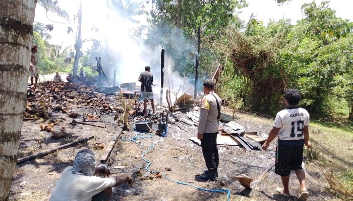 Tempat  Pembuatan Kopra di Luwuk Timur Terbakar, Kerugian Capai Rp15 Juta