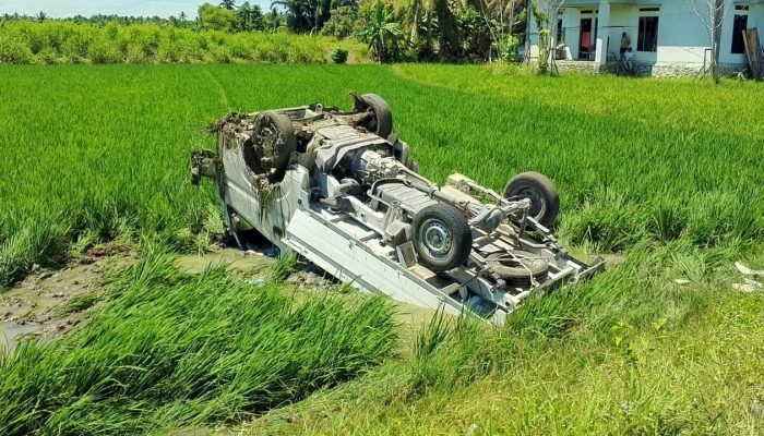 Laka Tunggal di Batui, Mobil Suzuki Carry Muat Ikan Terjun ke Sawah