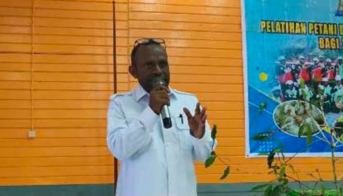 Bupati Deiyai Melkianus Mote Ubah Skema Bantuan Pertanian: Tutup Keran Proposal 2026, Fokus pada Kopi Arabika dan Peternakan Babi 5.000 Ekor