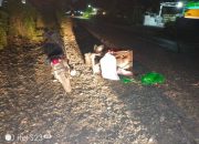 Seorang Ibu Penjual Sayur Patah Tulang Usai Jadi Korban Tabrak Lari Mobil di Toili Barat