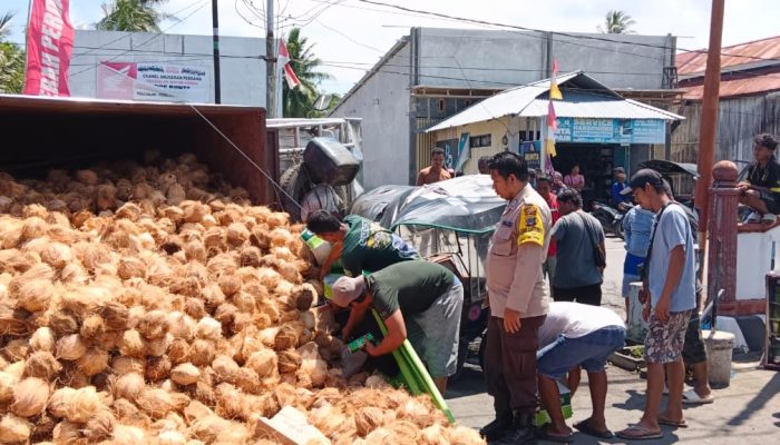 Hilang Kendali, Truk Bermuatan Kelapa Terguling di Bunta dan Timpa 2 Bentor