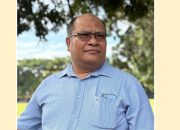 Menebang Pohon, Menumbangkan Akal Sehat Ekologis