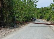 Tiang PLN Roboh, Empat Kecamatan di Bangkep Alami Pemadaman Listrik