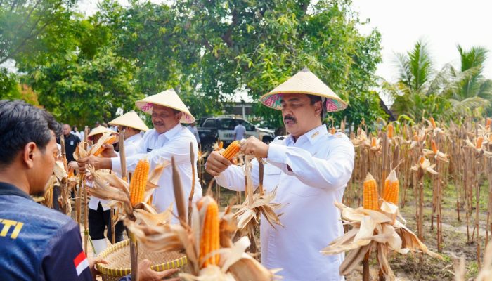 Setahun Kerja Nyata, Kemenimipas Catat Tinta Emas Ketahanan Pangan Nasional