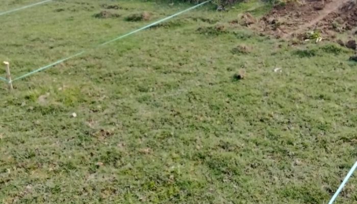 Per Petak Dibandrol Rp350 Ribu, Panitia Pramuka Toili Barat Disorot Pedagang