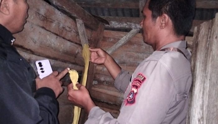 Geger, Petani di Toili Barat Ditemukan Tewas Gantung Diri
