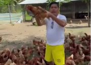 Irwanto Kulap Puji Sukses Peternak Nuhon, Jadi Teladan Ketahanan Pangan Banggai