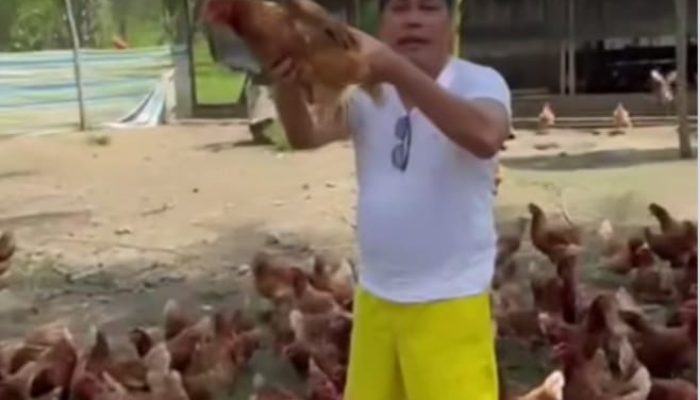 Irwanto Kulap Puji Sukses Peternak Nuhon, Jadi Teladan Ketahanan Pangan Banggai