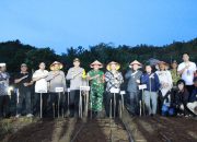 Pemkab Bangkep Canangkan Program Swasembada Pangan melalui Penanaman Padi Gogo dan Jagung