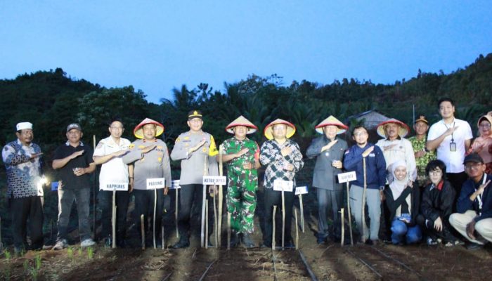 Pemkab Bangkep Canangkan Program Swasembada Pangan melalui Penanaman Padi Gogo dan Jagung