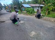 Tragis! Laka Maut di Luwuk Timur, Pemotor Mahasiswa Jatuh Lewati Jalan Berlubang Lalu Tertabrak Innova 