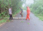 Polsek Lamala Bersama Warga Bersihkan Pohon Tumbang di Jalan Poros Desa Lomba