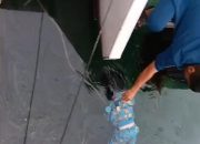 Viral, Seorang Bocah Tenggelam di Pelabuhan Luwuk, Ini Keterangan Kepala KUPP