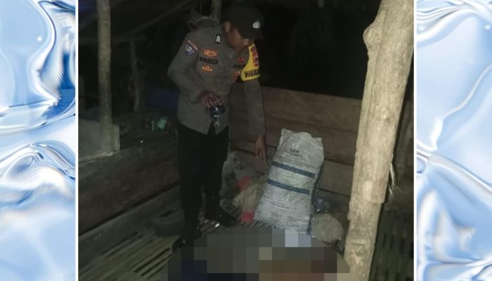 Geger, Lansia Asal Lamala Banggai Ditemukan Tewas Gantung Diri di Pondok Kebun