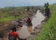 Kompak dan Penuh Semangat, Warga Momageida Perbaiki Jalan Trans dan Saluran Drainase
