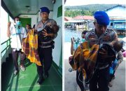 Polisi Penolong Satpolairud Polres Bangkep Evakuasi Pasien Anak di Pelabuhan Salakan