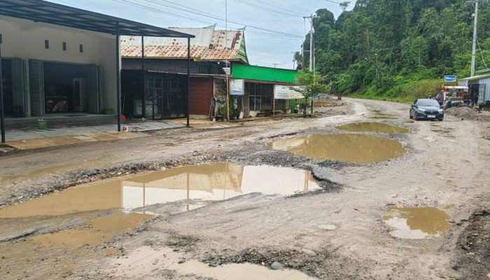 Jalan Trans Sulawesi Bungintimbe Rusak Parah, Komnas HAM Sulteng Desak Pemerintah dan PT Bumanik Perbaiki Total! 