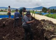 Dinsos Deiyai Lakukan Penataan dan Penimbunan Halaman, Tingkatkan Kenyamanan Layanan Publik