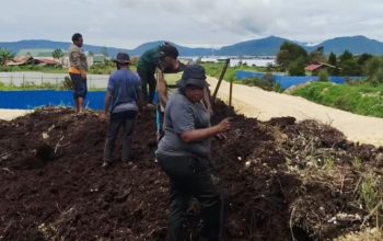 Dinsos Deiyai Lakukan Penataan dan Penimbunan Halaman, Tingkatkan Kenyamanan Layanan Publik
