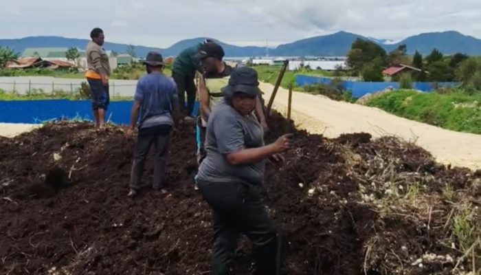 Dinsos Deiyai Lakukan Penataan dan Penimbunan Halaman, Tingkatkan Kenyamanan Layanan Publik