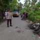 Tragis! Dua Pemotor Tewas Usai Tabrakan di Jalan Kantong Produksi Kintom Banggai